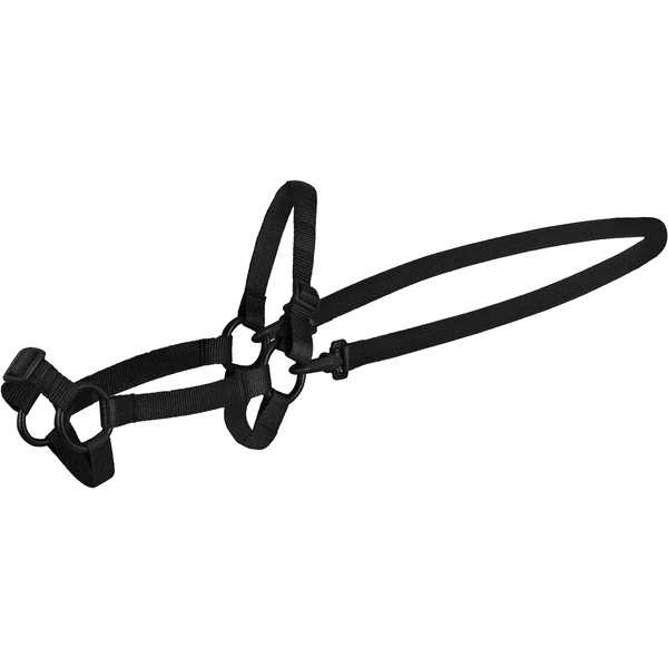 Kindsgard Zaumzeug Ledde Schwarz 3 Kindsgard Zaumzeug Ledde Schwarz