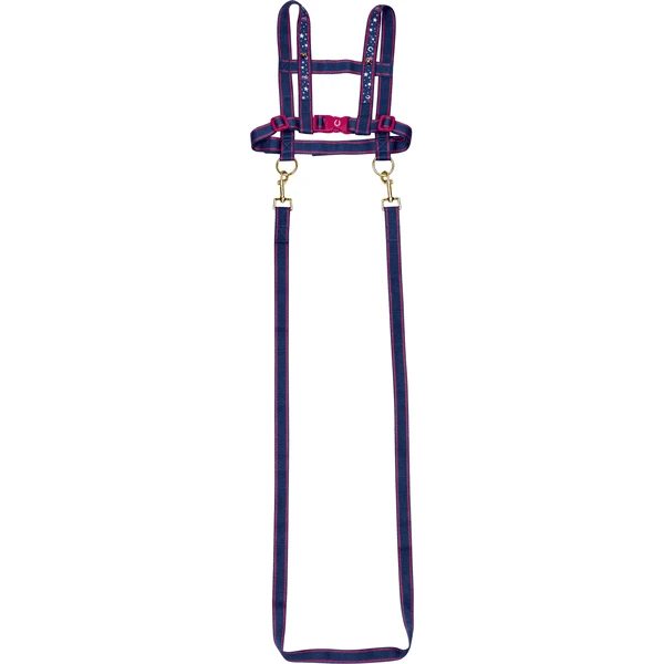 SPIEGELBURG COPPENRATH Pferdeleine Pferdefreunde 3 SPIEGELBURG COPPENRATH Pferdeleine Pferdefreunde